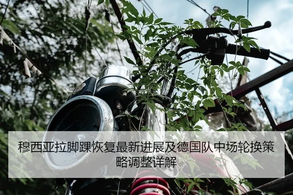 穆西亚拉脚踝恢复最新进展及德国队中场轮换策略调整详解